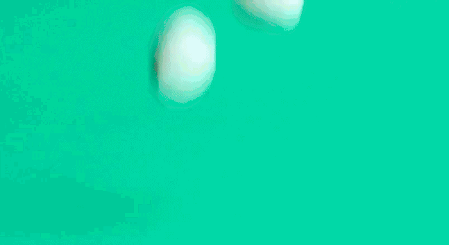 1499336581691515.gif 微信图片_20170706173942.gif