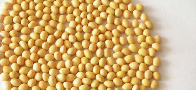 1540196930893507.jpg 22.jpg